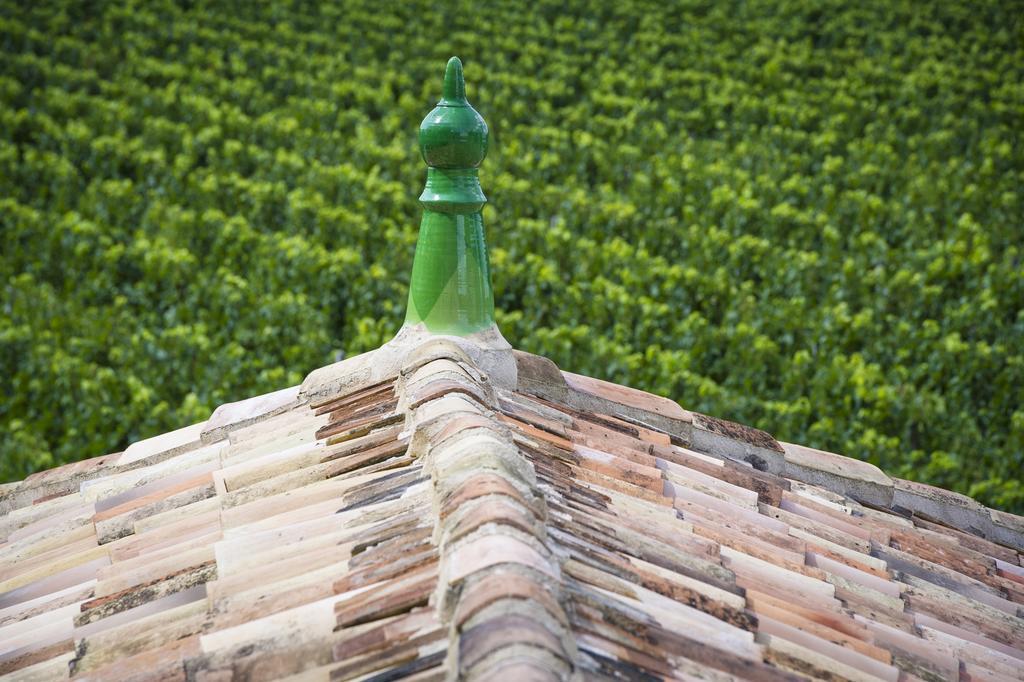 La Chartreuse Haut-Bailly - Anciennement Chateau Le Pape Léognan Esterno foto
